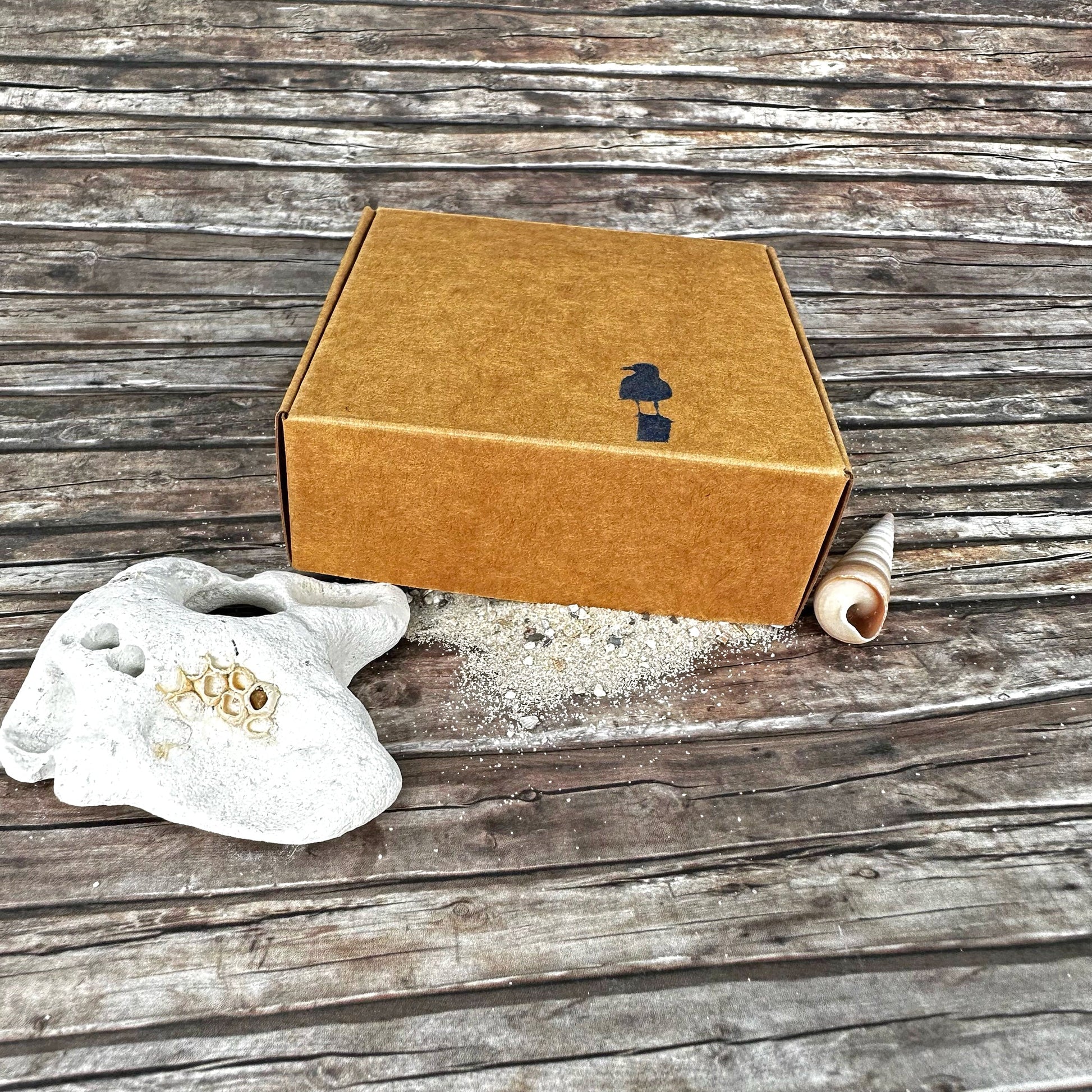 Segelfreund - WattGold
